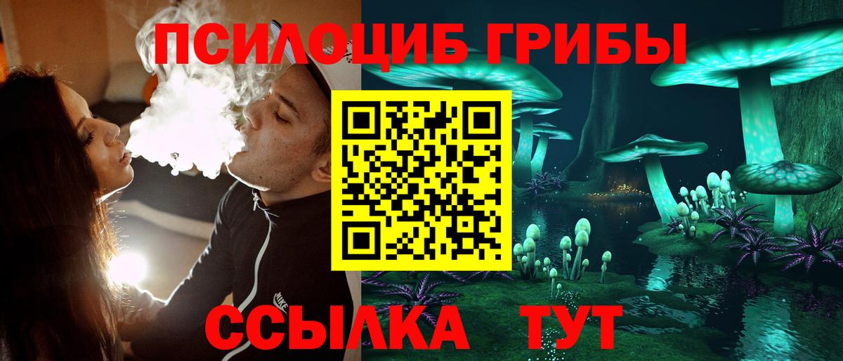 Псилоцибиновые грибы Cubensis Елизово