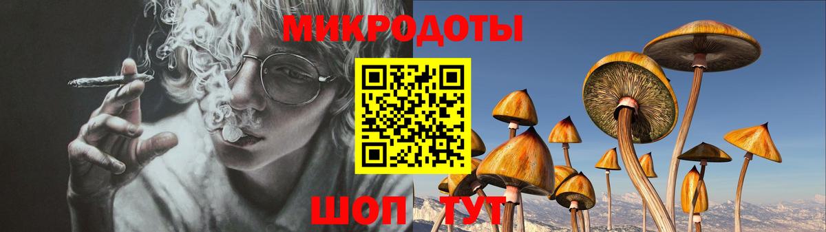 закладка  Вход с VPN  Елизово  Галлюциногенные грибы мицелий 